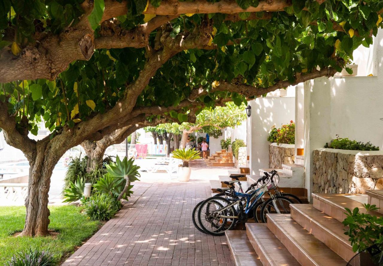Apartamentos Els Romers Benicarlo-Peñíscola Dış mekan fotoğraf