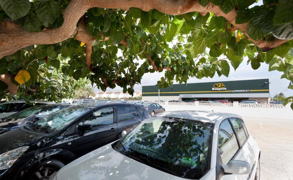 Apartamentos Els Romers Benicarlo-Peñíscola Dış mekan fotoğraf